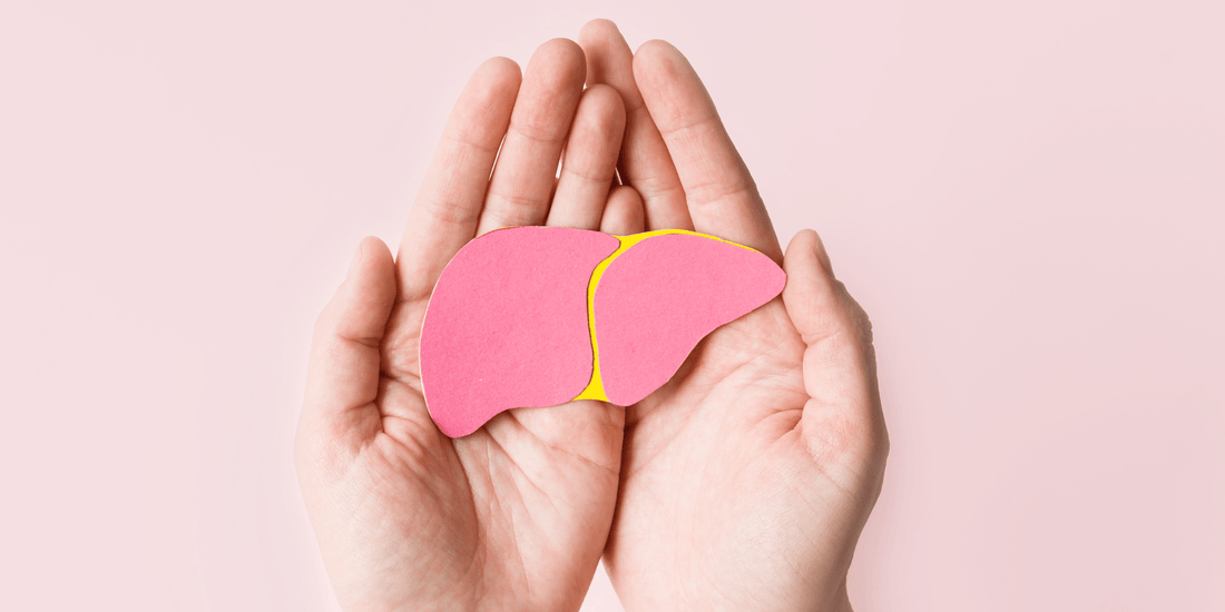 Hände mit Organ Leber in der Hand in rosa