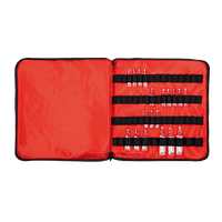 Étui à ampoules SÖHNGEN® vide, rouge, 55 ampoules