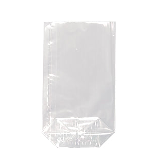 Le sac à fond Starpak 10, PP transparent, est un sac rectangulaire transparent à fond plat de Starpak, idéal pour les emballages polyvalents et illustré sur un fond blanc.