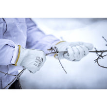 NITRAS DRIVER WINTER, gants en cuir de vachette pleine fleur, gris
