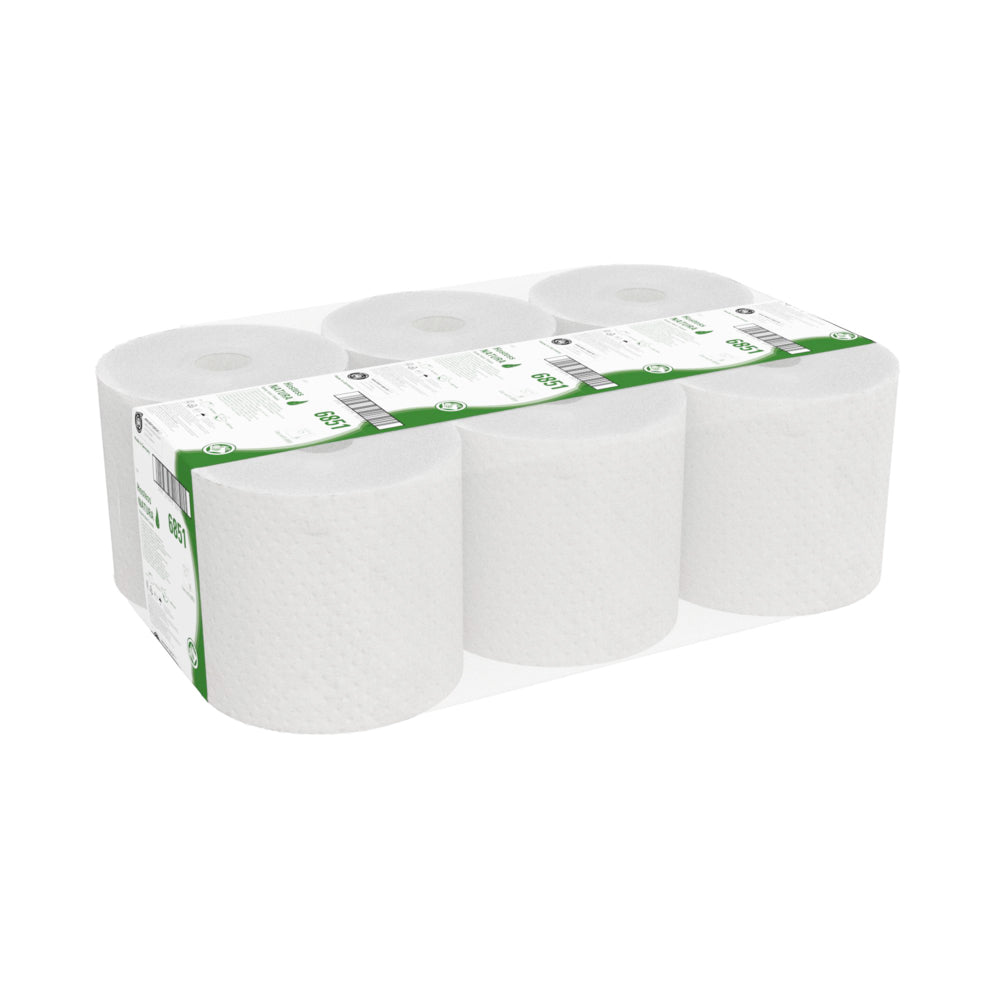 Ein Karton mit 6 Rollen Hostess™ NATURA Rollenhandtücher von Kimberly-Clark GmbH, jeweils in Naturpapier mit einem grün-weißen Etikett verpackt - perfekt für alle, die nachhaltige Handtücher aus hochwertigen Materialien suchen.