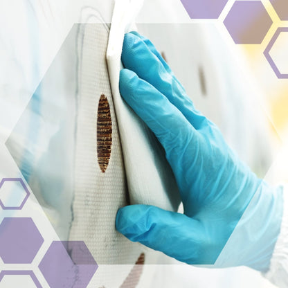 Eine behandschuhte Hand reinigt eine weiße Oberfläche mit braunen Flecken mit Kimtech® Science Präzisionstüchern (Klein, 30 x 286) von Kimberly-Clark GmbH. Halbtransparente Sechsecke heben diese fusselfreien Tücher hervor, die ideal für die Reinigung im Labor sind.