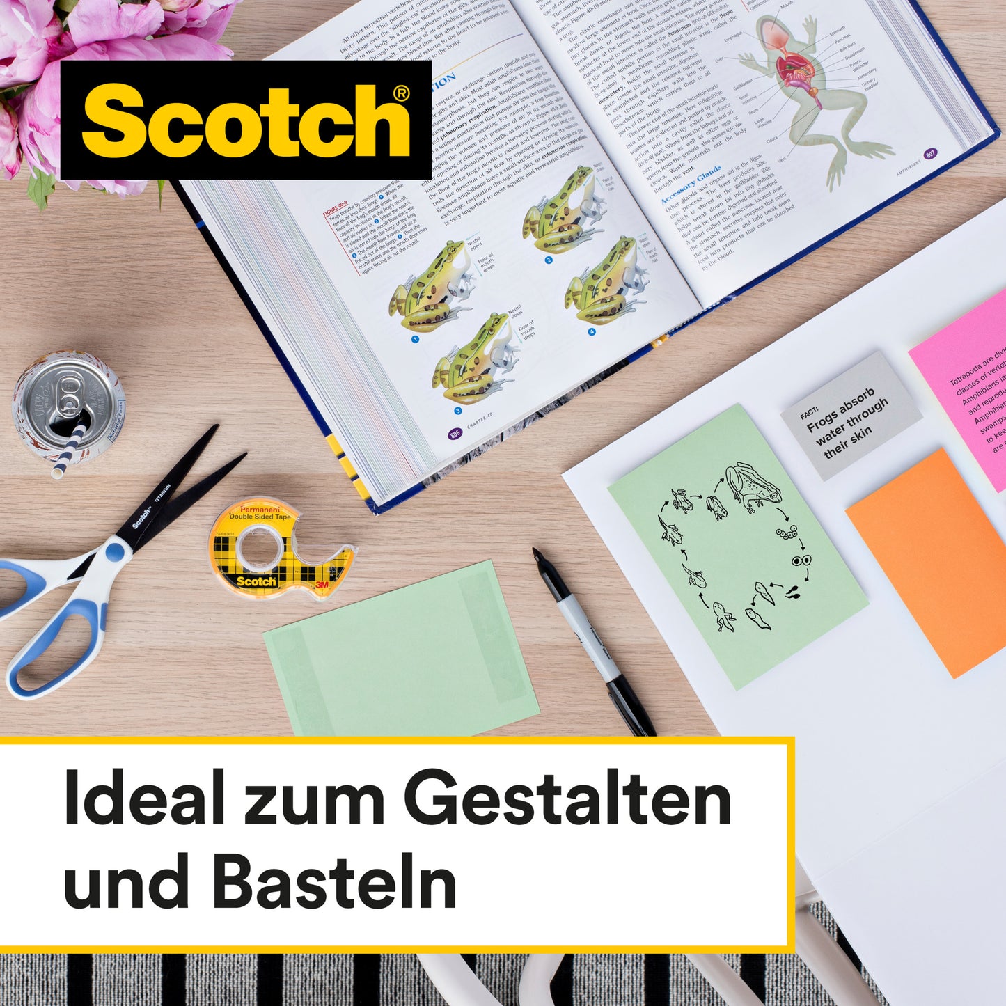 Ein Arbeitsbereich mit Schere, Haftnotizen, einer Getränkedose und einem aufgeschlagenen Schulbuch mit Froschillustrationen. Deutscher Text: "Ideal zum Gestalten und Basteln" - perfekt mit dem 3M Scotch® Doppelseitiges Klebeband 136D-MDOEU auf Handabroller.