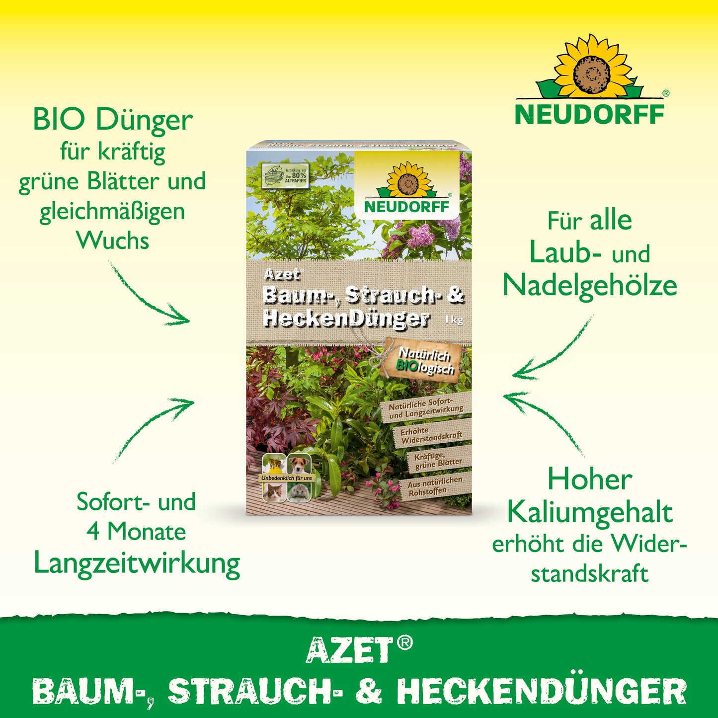 Abgebildet ist eine rechteckige Dose Neudorff Shop Azet Baum-, Strauch- & HeckenDünger mit grünen Pfeilen, die die lang anhaltende Wirkung und den hohen Kaliumgehalt betonen - ein idealer Dünger für Sträucher und Hecken in jedem Garten.