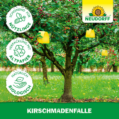 Ein Kirschbaum mit gelben KirschmadenFalle von Neudorff Shop schützt Ihre Kirschernte vor Fruchtfliegen. Drei Icons zeigen: Nützlingsschonend, Recyclingpapier-Verpackung und natürlich Bio. Oben rechts das Neudorff-Logo.