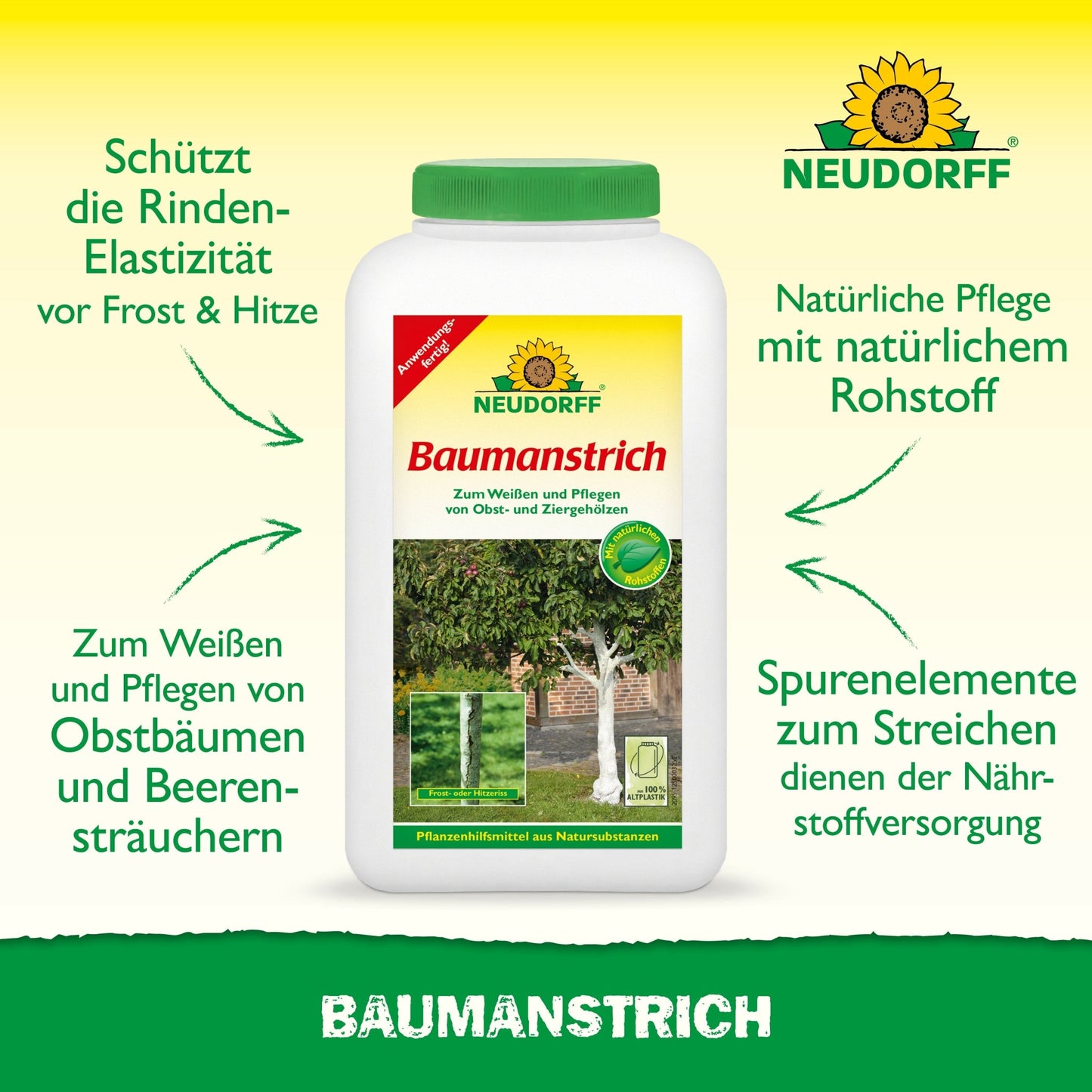 Peinture d'arbre biologique