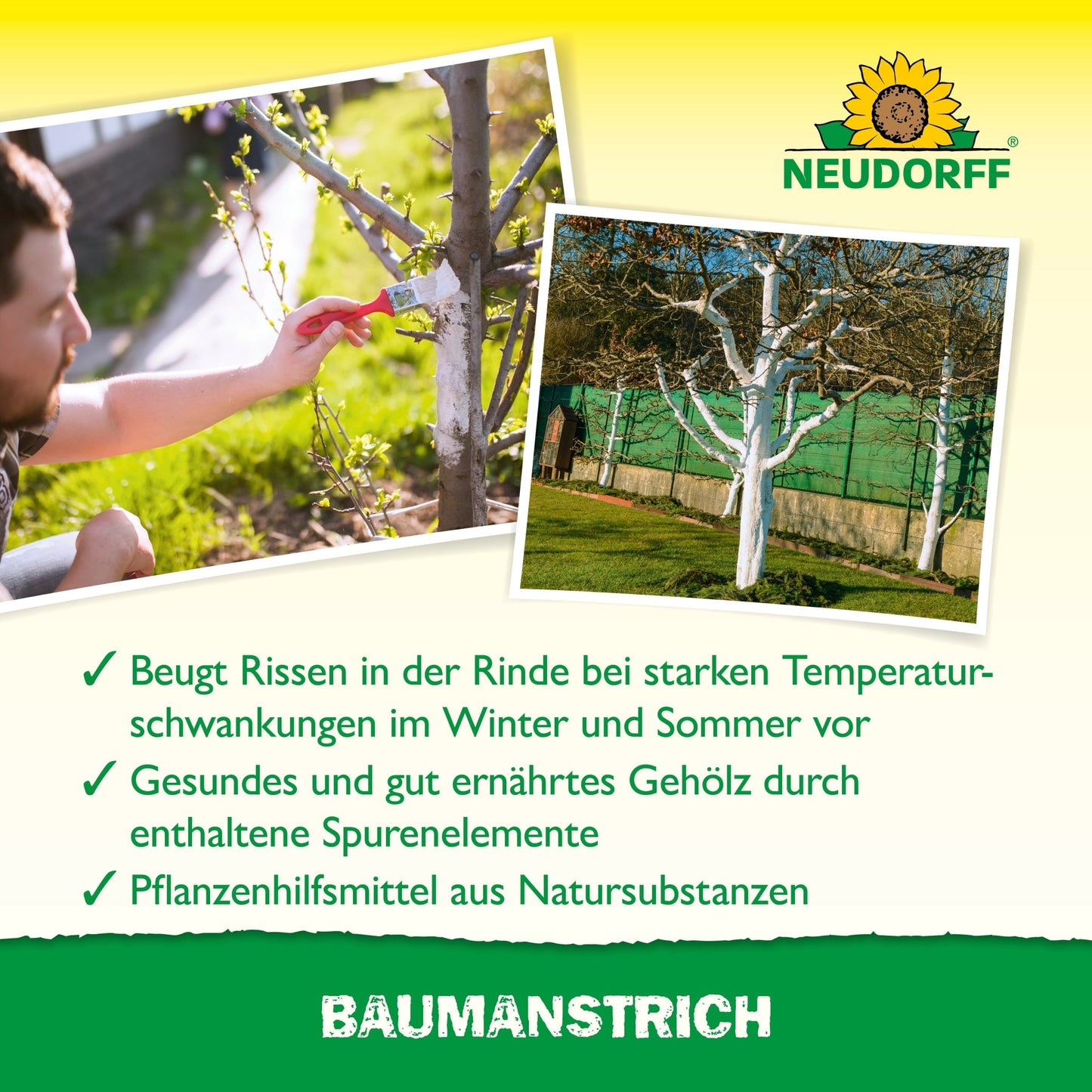 Peinture d'arbre biologique