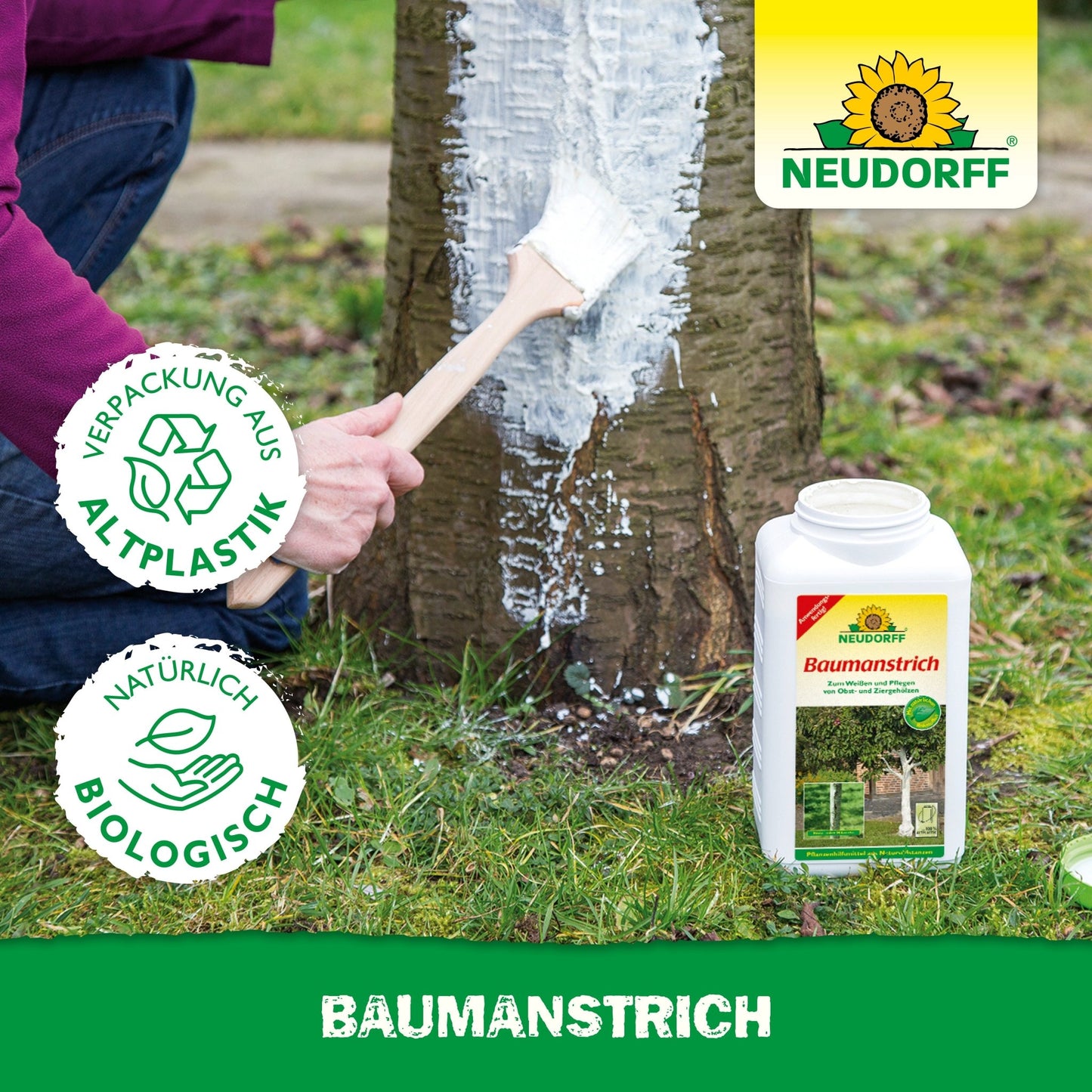 Peinture d'arbre biologique
