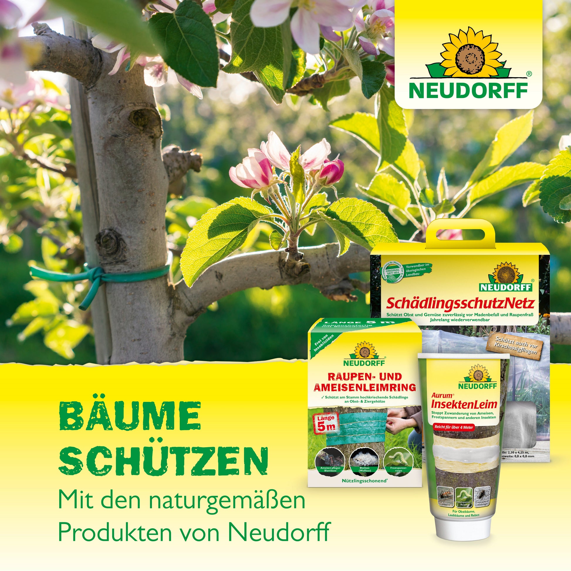 Ein mit grünem Band zusammengebundener Baumzweig inmitten rosa Blüten. Davor steht der Bio-Baumanstrich von Neudorff Shop mit dem Text: "Baumrinde schützen. Mit Bio-Baumanstrich von Neudorff Shop.