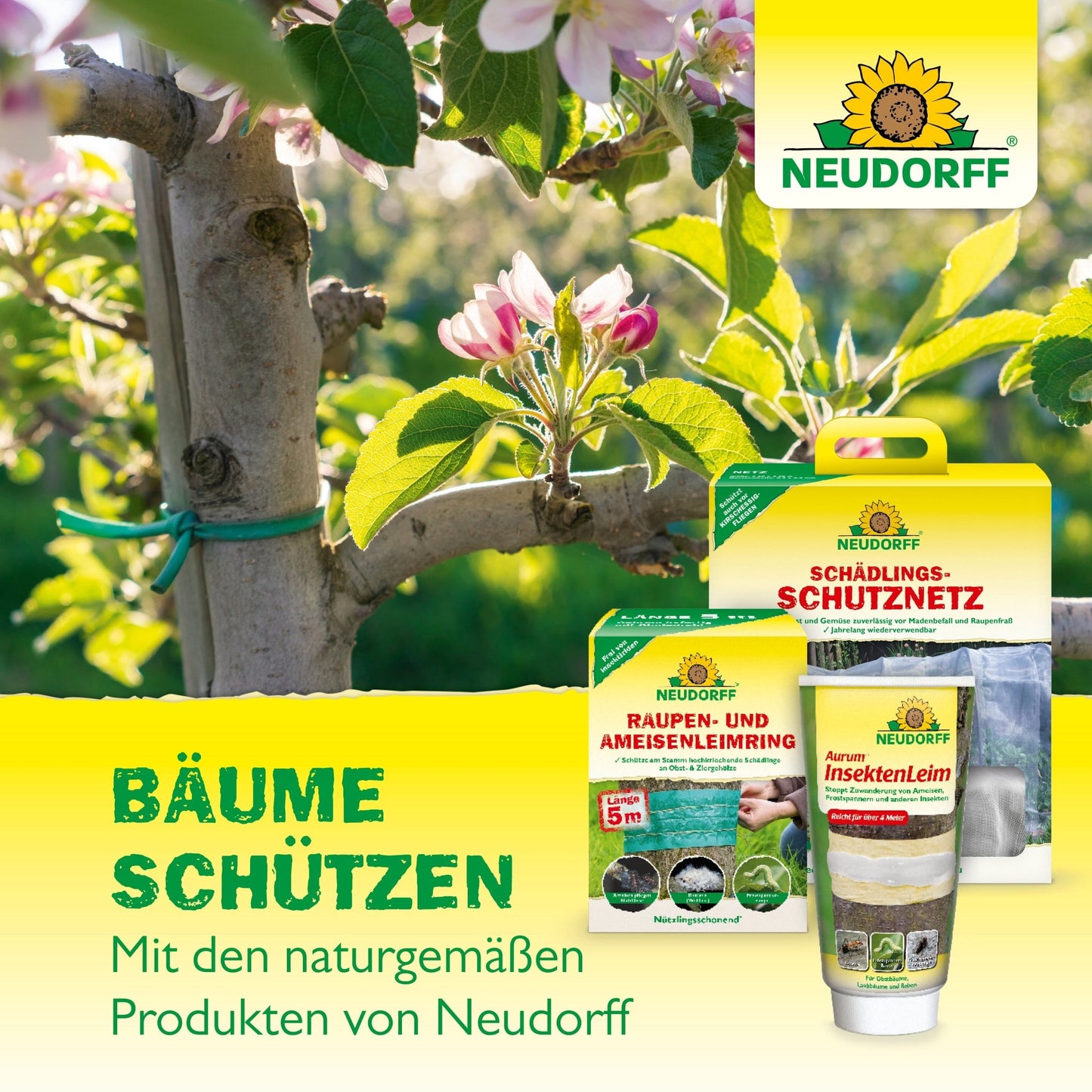 Peinture d'arbre biologique