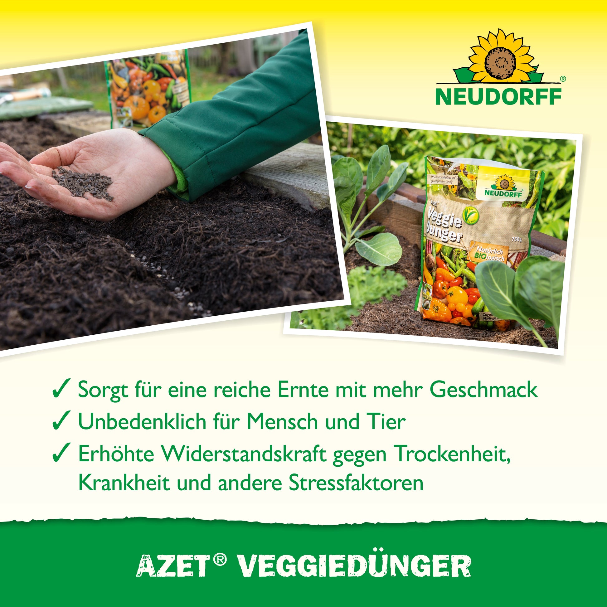 Eine Hand streut organischen Dünger auf Gartenerde. Daneben steht eine Packung Azet VeggieDünger von Neudorff Shop. Drei grüne Häkchen zeigen die Vorteile des Produkts auf Deutsch. Im Hintergrund wachsen Gemüsesetzlinge.
