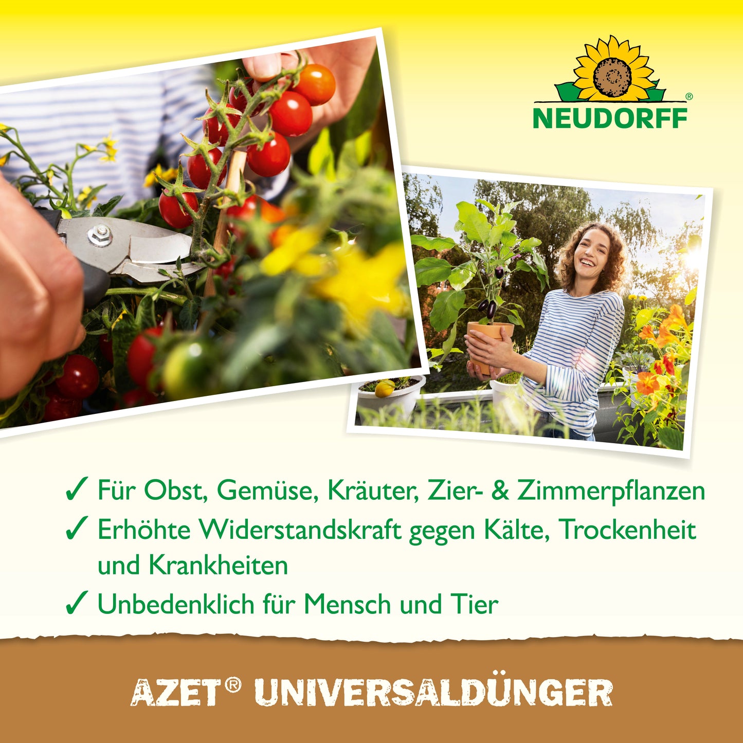 Eine Person schneidet einen Tomatenstängel mit einer Gartenschere, während eine andere lächelnd eine Topf-Tomatenpflanze hält. Text und Grafik heben den Azet UniversalDünger flüssig von Neudorff Shop für verschiedene Pflanzen hervor.