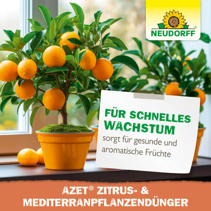 Ein getöpferter Orangenbaum mit reifen Früchten steht auf einer Fensterbank. Auf einem Schild steht: "Für schnelles Wachstum sorgt für gesunde und aromatische Früchte". Darüber ist das Logo des Neudorff Shops zu sehen: Azet Zitrus- & MediterranpflanzenDünger flüssig.