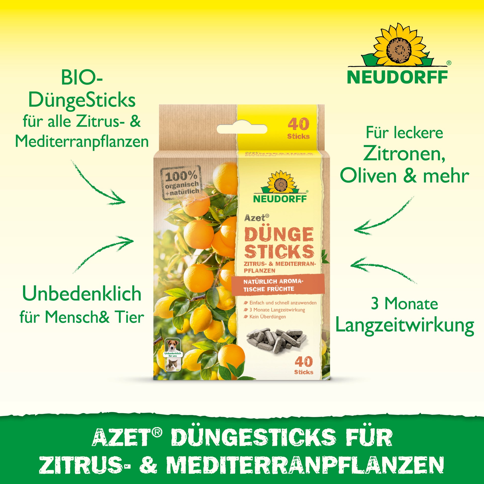 Gezeigt wird eine Packung Neudorff Shop Azet Düngesticks für Zitrus- & Mediterranpflanzen. Die Bio-Formel ist sicher für Menschen und Haustiere, nährt Zitruspflanzen für 3 Monate und ist perfekt für Balkone oder Terrassen mit Zitronen oder Oliven.