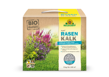 Tilleul de jardin Azet