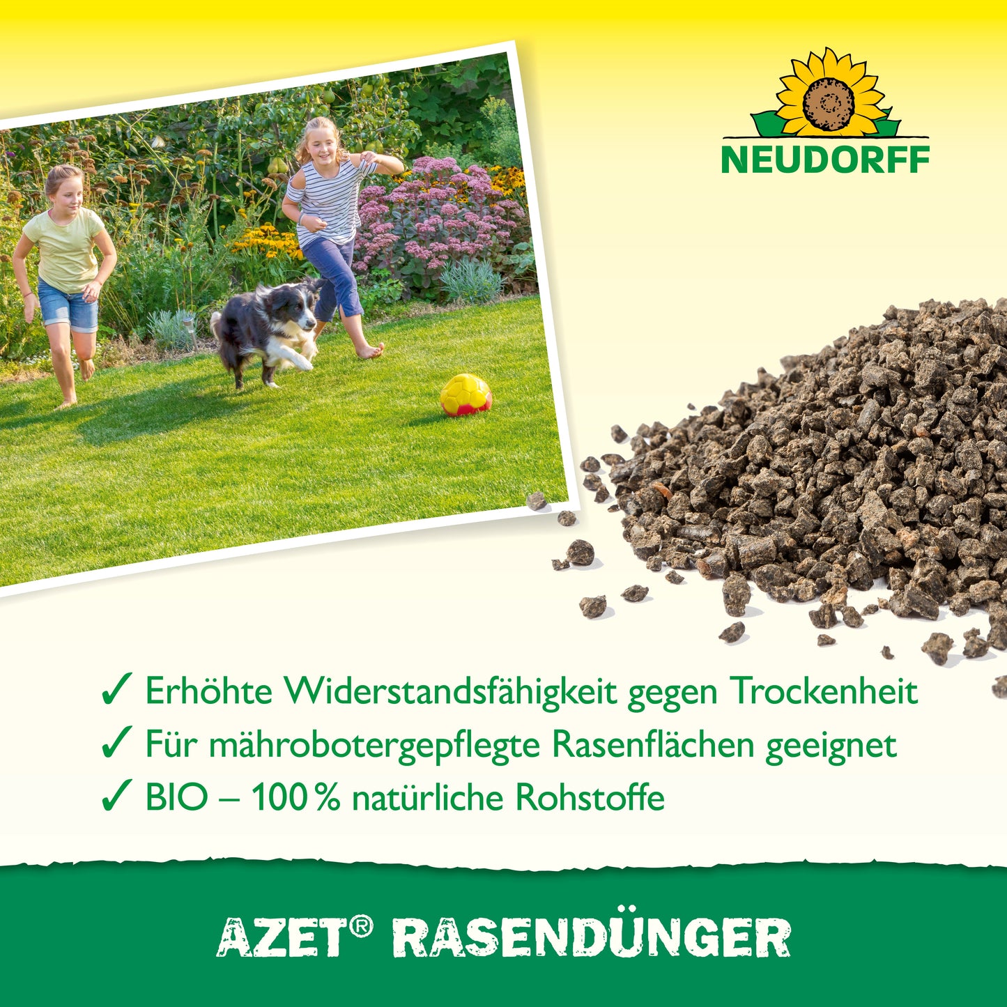 Ein Foto von zwei Kindern und einem Hund, die auf saftigem Rasen mit einem Fußball spielen, neben einem Beutel Neudorff Shop Azet RasenDünger 2,5 kg bis 5 kg. Text hebt Vorteile für eine dichte Rasenfläche hervor; Neudorff-Logo erscheint oben rechts.