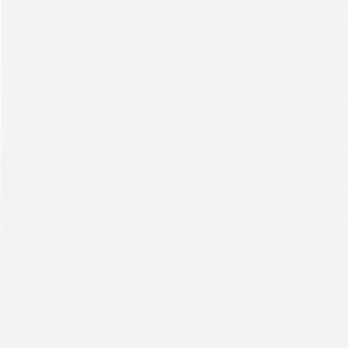 Ein schlichter, einfarbiger weißer Hintergrund – wie bei den PAPSTAR 50 Servietten, 2-lagig 1/4-Falz 40 cm x 40 cm der PAPSTAR GmbH – ohne Muster oder auffällige Merkmale.