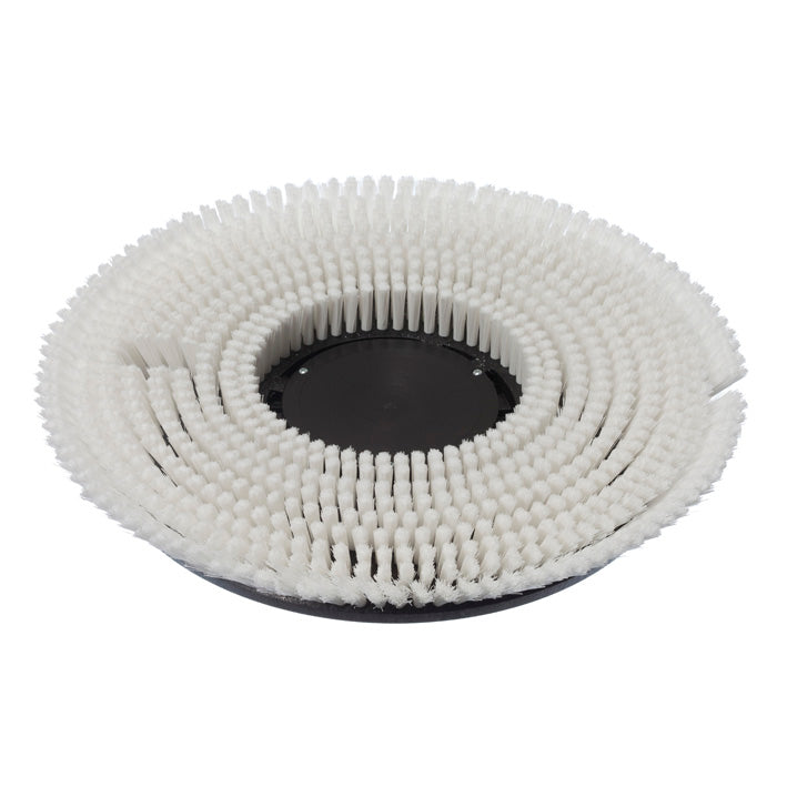 De Diversey nat-shamponeerborstel (Ø 43 cm) heeft dichte, concentrische borstelharen op een zwarte basis, ideaal voor het reinigen van tapijten met TASKI ergodisc 165, 200 of duo. Wordt per stuk per verpakking geleverd.