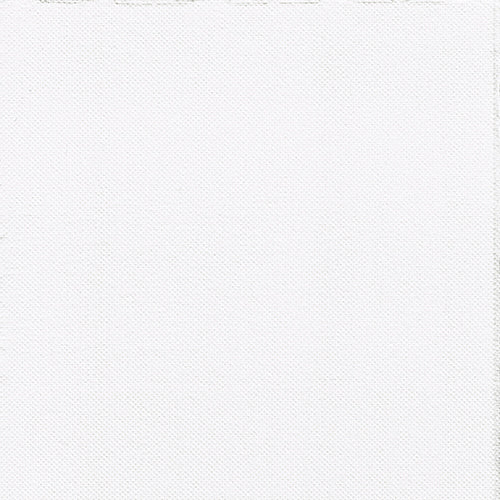 Een close-up van de PAPSTAR 30 servetten, 2-laags "PUNTO" (38x38 cm) van PAPSTAR GmbH toont een fijne, rasterachtige, witte structuurstof – ideaal voor elegante tafeldecoraties. Geen zichtbare patronen of ontwerpen.