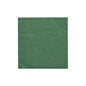 Une serviette simple et carrée PAPSTAR avec un pli 1/4 (24x24 cm) en vert foncé de la "DAILY Collection" (20 pièces) de la PAPSTAR GmbH repose au centre sur un fond blanc.