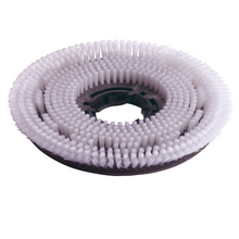 Numatic 2 x nylon schrobborstel 220 mm (NUC244NX/TTB420) | Pak (1 stuk)