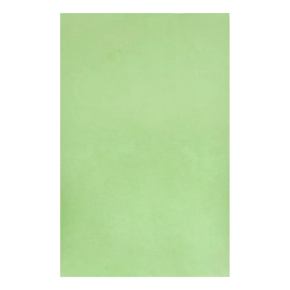Een vel glad, lichtgroen AMPri Dental crêpe-filterpapier voor tray-toepassingen met de afmetingen 18 x 28 cm, vervaardigd door AMPri Handelsgesellschaft mbH, zonder markeringen of versieringen.