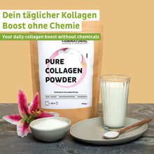 Collageenhydrolysaatpoeder
