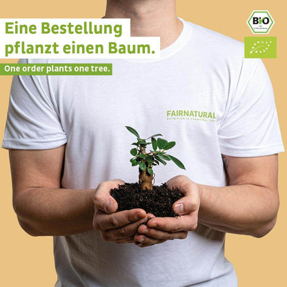 Biologische weiproteïnepoeder mango