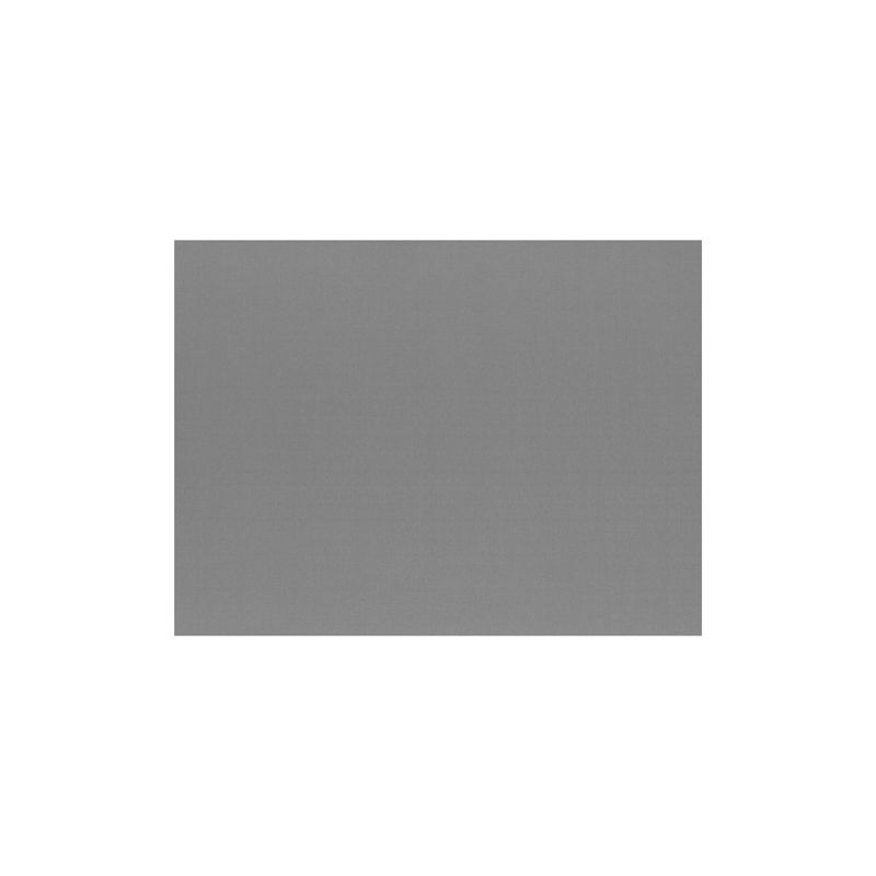 Un simple set de table en papier gris uni PAPSTAR (30 x 40 cm) de la société PAPSTAR GmbH est placé au centre sur un fond blanc et ne présente aucun motif, structure ou particularité.