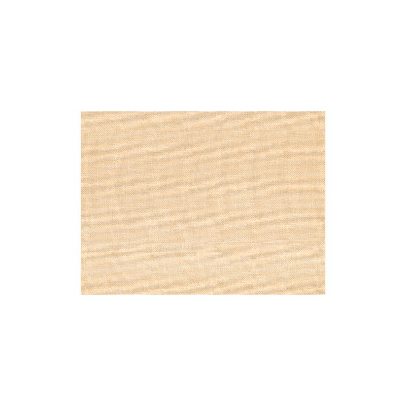 Un ensemble de 100 sets de table en papier PAPSTAR (30 x 40 cm) de la société PAPSTAR GmbH en beige avec une texture subtile est placé au centre sur un fond blanc simple.