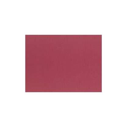 Un set de table rectangulaire en papier de la société PAPSTAR GmbH (30 x 40 cm) d'une couleur rouge-rose atténuée, centré sur fond blanc. Non orné, sans motif ni texte. Produit : PAPSTAR 100 sets de table, papier 30 cm x 40 cm.