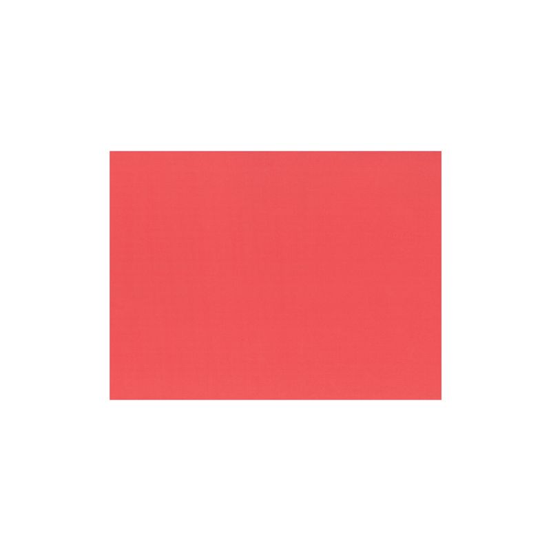 Les 100 sets de table (papier, 30 x 40 cm) de la société PAPSTAR GmbH sont d'un rouge uni et centrés sur fond blanc - idéaux comme sets de table en papier écologiques.