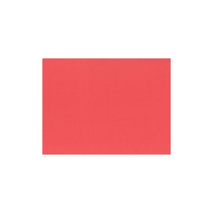 Les 100 sets de table (papier, 30 x 40 cm) de la société PAPSTAR GmbH sont d'un rouge uni et centrés sur fond blanc - idéaux comme sets de table en papier écologiques.