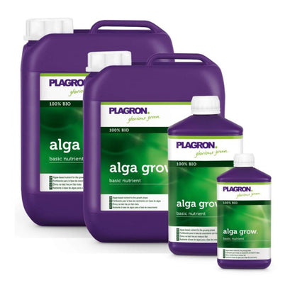Quatre conteneurs avec Plagron Alga Grow Engrais de croissance naturel de Bertels B.V. comprennent deux grands pichets violets et deux bouteilles plus petites. Des étiquettes vertes et blanches indiquent « 100 % Bio » et soulignent son rôle en tant que nutriment de base important pour votre jardin.