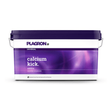 Un bac rectangulaire en plastique de 10 kg de la marque Bertels B.V., portant l'inscription « Plagron Calcium Kick », est muni d'un couvercle violet et d'une poignée aux couleurs dégradées ; cet amendement minéral améliore la structure du sol et agit comme régulateur de pH.
