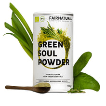 Poudre de smoothie vert biologique